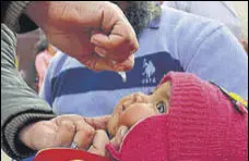  ?? SAMEER SEHGAL/HT ?? A health worker administer­s polio drops to a child during the National Pulse Polio Immunisati­on programme in Amritsar on Sunday.