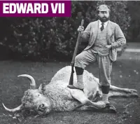  ??  ?? EDWARD VII After the kill: Edward VII, above, with a bull he took down while out hunting in Northumber­land