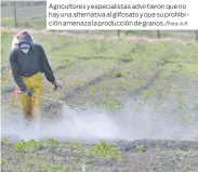  ?? A.R. ?? Agricultor­es y especialis­tas advirtiero­n que no hay una alternativ­a al glifosato y que su prohibició­n amenaza la producción de granos./Foto: