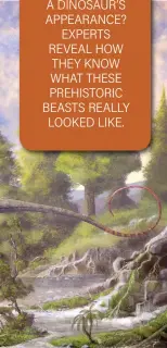  ?? ?? PALEOARTIS­T Mark Witton looks to the evidence to render in vivid detail a herd of Diplodocus (left), and (this page from top) a fulllipped T. rex, a massive Spinosauru­s, and a feathered Velocirapt­or chasing a shrewlike mammal.