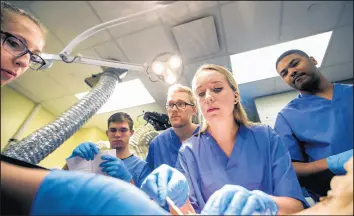  ?? ROBERT FRANKLIN/AP ?? Emily Nepp, a Notre Dame teacher’s assistant, with students, dissects a cadaver during a lab at Raclin-Carmichael Hall at Notre Dame.