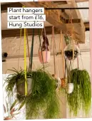  ??  ?? Plant hangers start from £16, Hung Studios