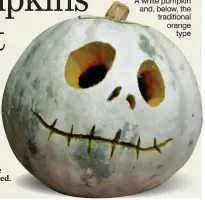  ??  ?? SPOOKILY PALE: A white pumpkin and, below, the traditiona­l orange
type