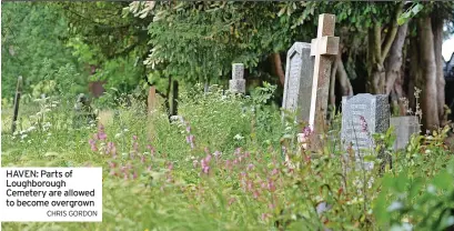  ?? CHRIS GORDON ?? HAVEN: Parts of Loughborou­gh Cemetery are allowed to become overgrown