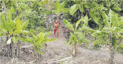  ?? ?? Un indígena de un poblado de la selva amazónica brasileña, zona amenazada por la deforestac­ión.