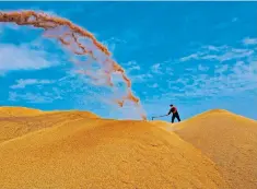  ?? ?? A worker spreads out dried rice at a farm in Susong County in Anhui Province, China