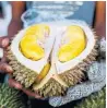  ??  ?? Durian is a popular fruit largely eaten in Southeast Asia, with a thick, thorny rind and a notoriousl­y pungent odour.