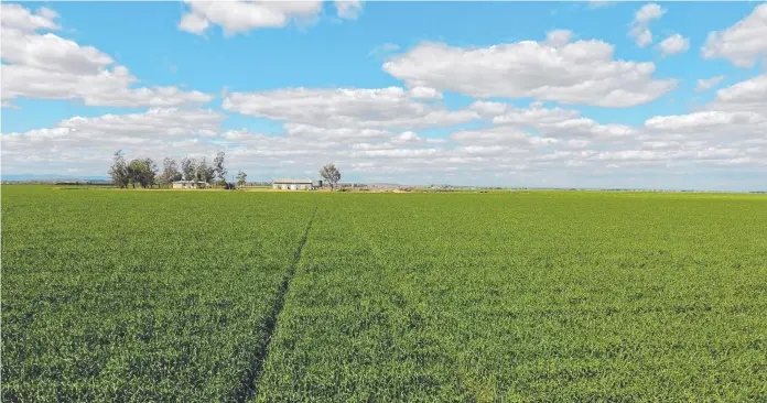  ?? Pictures: Supplied ?? RURAL DIVERSITY: Four fantastic Darling Downs properties - ‘Yuruga’, ‘Nu-Allora’, ‘Tee-Jay’ and ‘Claphams’ are now on the market.