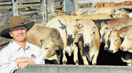  ?? PHOTO: CONTRIBUTE­D ?? SUNNY BOY: Burnett Livestock and Realty’s Lance Whitaker with a pen of bullocks sold on account of Mooru Grazing, Takilberan. The Simmental cross bullocks sold for 168.2c/kg or $1196 a head at Biggenden’s meatworks and store sale on August 15.