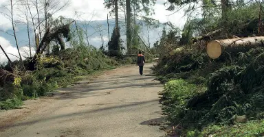  ??  ?? Autunno 2018 Un’immagine di Marcesina dopo la tempesta Vaia a fine ottobre (foto da Facebook) e sotto uno dei quaderni donati