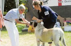  ?? Archivfoto: Andreas Brücken ?? Die Hundemesse „Dogsmania“fand auch schon auf dem Gelände des Klosters Wiblingen statt – wie hier zu sehen ist.