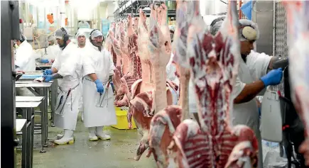  ?? PHOTO: CAMERON BURNELL/ STUFF ?? Meat processors across the country are working extra shifts as farmers destock their farms because of dry conditions.