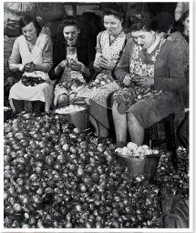  ??  ?? BELOW Women peeling onions for pickling in jars, at a factory in the North East of England. November 1943