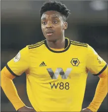  ??  ?? HOT PROSPECT Wolves striker Niall Ennis