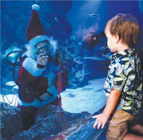  ?? Picture: STEWART McLEAN ?? MERRY CHRISTMAS: Santa Claus waves to Sammy Moore, 3, of Mt Sheridan as he brings gifts of food for the sharks, rays and other marine life at the Cairns Aquarium’s oceanarium yesterday.