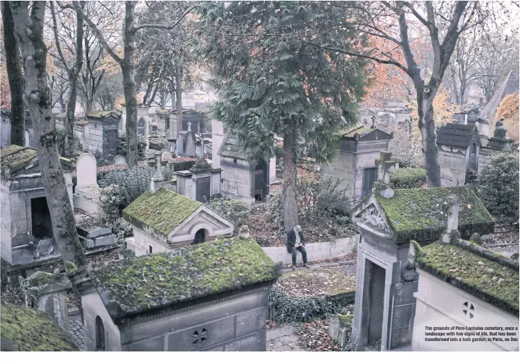  ?? ?? The grounds of Père-Lachaise cemetery, once a landscape with few signs of life, that has been transforme­d into a lush garden, in Paris, on Dec 6.