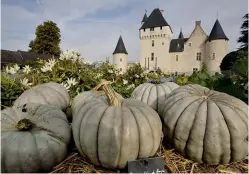  ??  ?? Baladez-vous dans les jardins extraordin­aires du château du Rivau.
