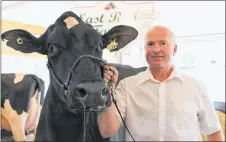  ?? KATHERINE HUNT/THE GUARDIAN ?? Bruce Wood and one of the 14 purebred Holsteins he showed in the AHP Holstein Show at the Eastlink Centre in Charlottet­own on Saturday as part of the Old Home Week exhibition. Old Home Week celebratio­ns goes all week long.