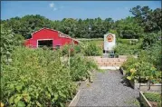  ?? CONTRIBUTE­D BY CITY OF SUWANEE ?? Harvest Farm at White Street Park is a community organic garden. Along with 76 plots, available on a firstcome, first-served basis, it includes a fire pit, walking paths, a natural amphitheat­er and a barn/pavilion.