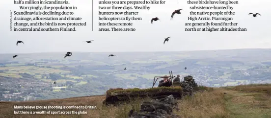  ?? ?? Many believe grouse shooting is confined to Britain, but there is a wealth of sport across the globe