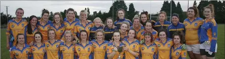  ??  ?? Taghmon-Camross (above) celebrate after beating HWH-Bunclody (below) in the Junior ‘A’ championsh­ip final.