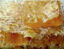  ??  ?? Unscrupulo­us operators will soon find it tougher to sell fake manuka honey.