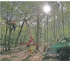  ?? FOTO: DPA ?? Ein Räumfahrze­ug der Polizei steht im Wald. Die Räumung der Baumhäuser von Umweltakti­visten im Hambacher Forst geht weiter.