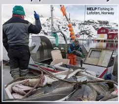  ?? ?? HELP Fishing in Lofoten, Norway