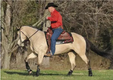  ??  ?? Once your horse responds well in an enclosed arena, move outside and practice stopping at all speeds in different environmen­ts. This prepares him to obey even when distracted or excited.