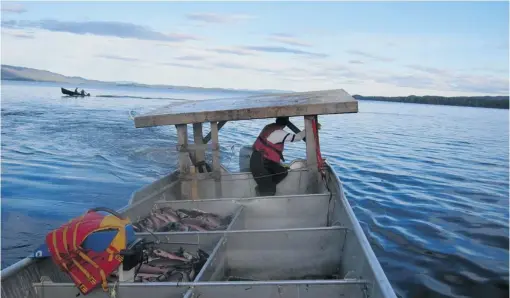  ??  ?? Lake Babine First Nations’ commercial sockeye salmon fishery opens for the first time in 2011. Pacific Booker Minerals proposes putting its mine near Babine Lake. In a separate case, Taseko Mines redid its New Prosperity proposal after a proposal to...