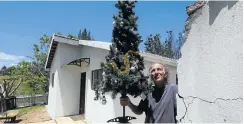  ?? Pictures: Esa Alexander ?? Mike Parkin outside his new house — with a Christmas tree that was thrown in. Parkin’s old house in Elandskraa­l was destroyed in the winter wildfires.