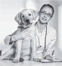  ?? 123RF ?? It’s important to recognize the dedication and demands of veterinari­ans.