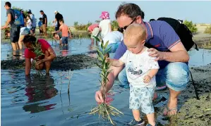  ?? Supplied photo ?? Residents plant mangroves at the Jebel Ali Marine Sanctuary as part of World Environmen­t Day activities of the Dubai Municipali­ty. The civic body had announced that it would plant mangroves equivalent to the number of cars that were not driven on...