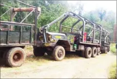  ?? SUPPLIED ?? Timber trucks driven by Vietnamese nationals that were seized in Mondulkiri province last month. The case prompted an investigat­ion into possible collusion between authoritie­s and illegal loggers.