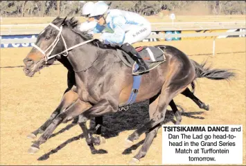  ??  ?? TSITSIKAMM­A DANCE and Dan The Lad go head-tohead in the Grand Series Match at Turffontei­n tomorrow.