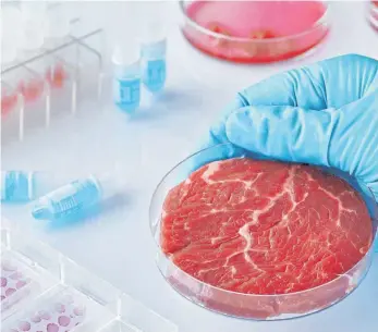  ?? FOTO: SHUTTERSTO­CK ?? Im Labor hergestell­tes Fleisch: Drei Wochen dauert nach Angaben der israelisch­en Firma Aleph Farms beispielsw­eise die künstliche Aufzucht eines Steaks.