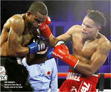  ?? Photo: MIKEY WILLIAMS/TOP RANK ?? ON TARGET: Alvarez lets fly as Seals starts to fade