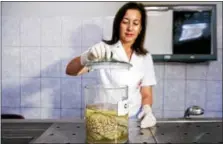  ?? ERNESTO BENAVIDES — AFP/GETTY IMAGES ?? Doctor Diana Rivas opens a jar containing a human brain immersed in formaldehy­de at the “Museum of Neuropatho­logy” in Lima in 2016.