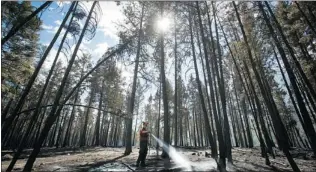  ?? DARRYL DYCK/ THE CANADIAN PRESS ?? Firefighte­r Matthew Pixton puts out hot spots Tuesday after a wildfire moved through the area near Peachland on the weekend. An evacuation order was lifted for part of the region late Monday.