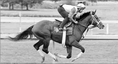  ?? KIM PRATT ?? Maximum Security two-minute licks a mile at Parx Racing on Friday under Alvaro Tomas.