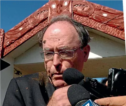  ?? FOTOPRESS ?? Waitangi! Briscoes sales, celebratin­g Kiwiness, and politician­s getting mud chucked at them! Watch out, Don Brash!