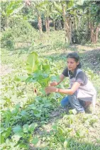  ??  ?? Ms Pavinee shows off her homegrown organic vegetables.