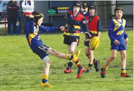 ??  ?? Above Ellinbank’s Logan Joyce boots the ball into attack during the under 10 match against Longwarry; Photograph­s: Tom Elton.