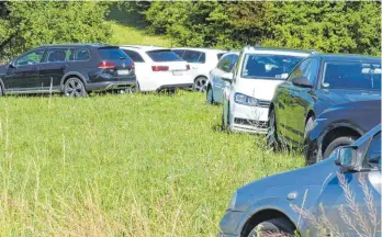  ?? FOTO: MARKUS LEHMANN ?? Regelmäßig wird die Wiese beim Spieselfre­ibad trotz Verbots zugeparkt. Einige Falschpark­er hat das Ordnungsam­t nun aufgeschri­eben, die Stadt denkt über eine Absperr-Barriere nach.