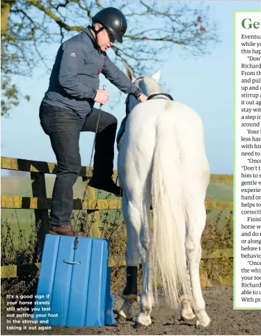  ??  ?? It’s a good sign if your horse stands still while you test out putting your foot in the stirrup and taking it out again