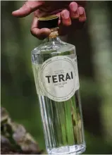  ?? TERAI INDIAN DRY GIN ??