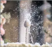  ?? PICTURE:EPA ?? A view of a egg ‘dancing’ on a fountain’s stream at cathedral’s cloister to observe a Barcelona’s odd Corpus Christi’s tradition, north-eastern Spain, last Thursday. The tradition called in Catalonian ou com balla (how the egg dances) recurs in...