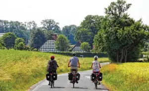  ?? Foto: Bernd F. Meier/tmn ?? Gemächlich geradeaus: Radfahrer auf der Friedensro­ute bei Bad Iburg – die Strecke hat kaum Höhenmeter.