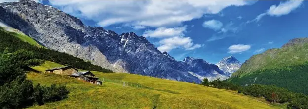  ??  ?? I prati dell’alpe Solaz di Sopra (2.035 metri). Sulla destra, il Gran Zebrù, nel gruppo Ortles-Cevedale.DOVE