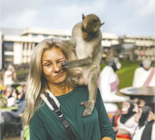  ?? LAUREN DECICCA/GETTY IMAGES ?? A monkey gets handsy with a tourist’s face during the Lopburi Monkey Festival on Sunday in Lopburi, Thailand. Thousands of long-tailed macaques live in the area in central Thailand, where people and monkeys “live in harmony.”